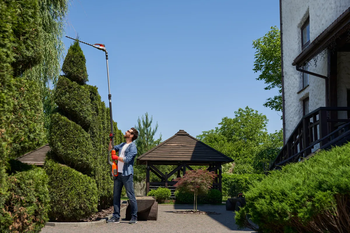 Landscaper trimming topiary for a commercial landscaping client